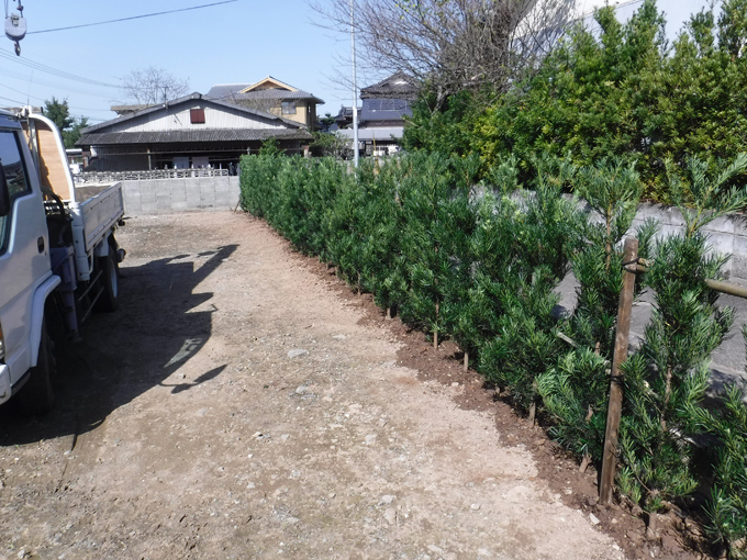 益城町 H様邸 樹木植栽工事