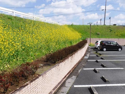 N介護福祉士施設植栽工事