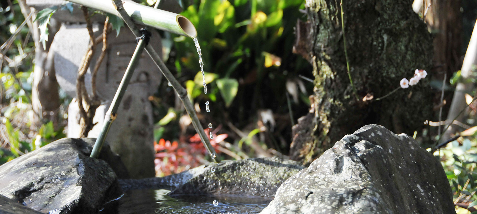 おしゃれな庭、目隠しの生垣・竹垣・フェンスの製作、伸びすぎた植木の剪定伐採,移植,花壇花の植栽、お庭のことでお悩みなら当社にお任せください。